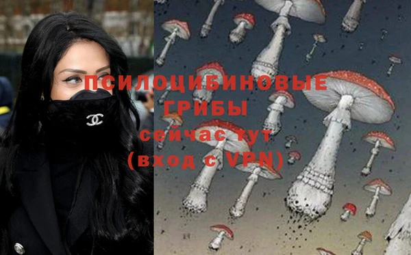 a pvp Протвино