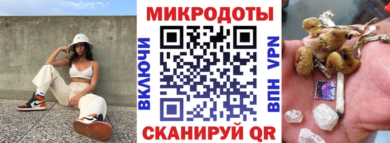 OMG вход  Болгар  Галлюциногенные грибы MAGIC MUSHROOMS 